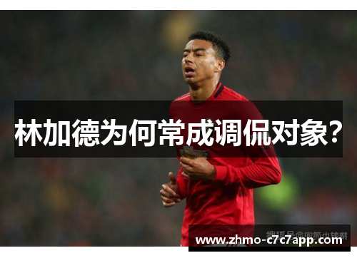 林加德为何常成调侃对象? 林加德为何常成调侃对象?