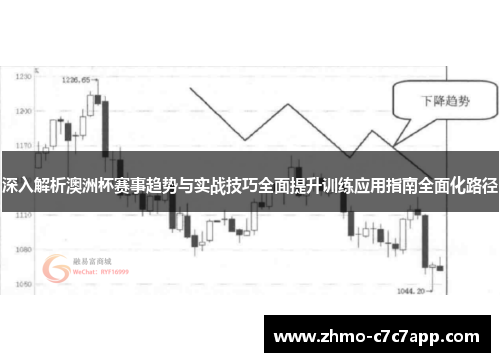 深入解析澳洲杯赛事趋势与实战技巧全面提升训练应用指南全面化路径